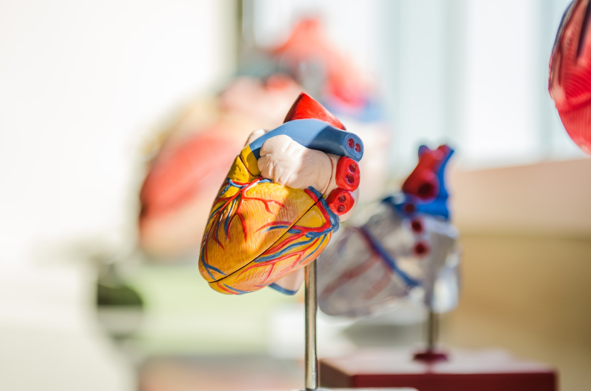 Diagnosing Heart Diseases With Cardiac MRI